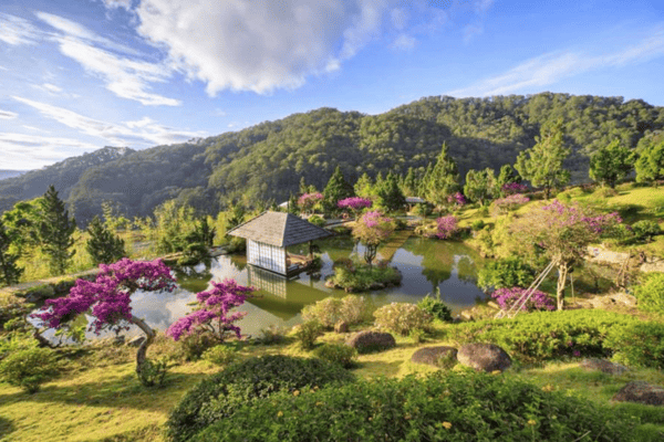 Tour Đà Lạt Săn Mây 3N3Đ | Langbiang Land – Quê Garden – Thung Lũng Các Vị Thần