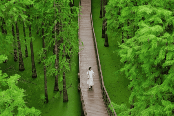 Tour Thượng Hải – Ô Trấn – Hàng Châu – Bắc Kinh 7N6Đ | No Shopping