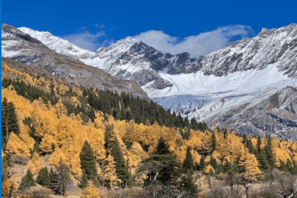 Tour Thành Đô – Núi Tứ Cô Nương 6N5Đ | Bay Đến Miền Đất Tuyết – Sichuan Airlines