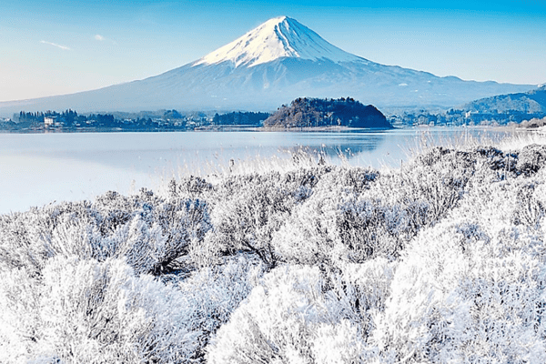 Tour Nhật Bản Mùa Đông 5N5Đ | Trượt Tuyết Fujiten – Osaka – Tokyo | Vietjet/VNA