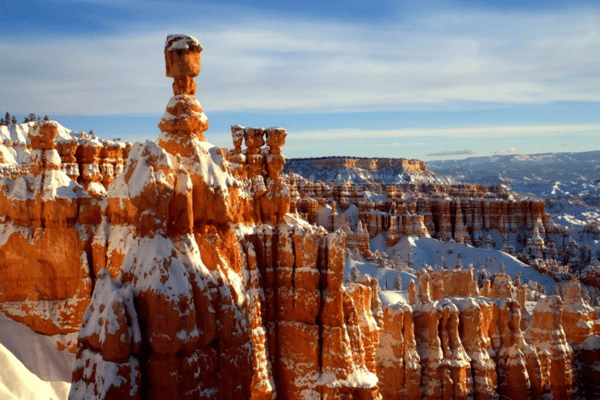 FAM Trip Khám Phá Bờ Tây Hoa Kỳ 10N9Đ: Grand Canyon – Las Vegas – LA