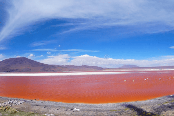 KHÁM PHÁ NAM MỸ ĐẶC BIỆT: HỒ TITICACA – CÁNH ĐỒNG MUỐI UYUNI – ĐẢO PHỤC SINH