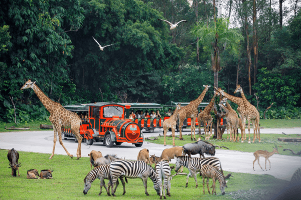 Tour Du Lịch Thẩm Quyến – Chu Hải – Trung Sơn – Quảng Châu 4 Ngày 4 Đêm