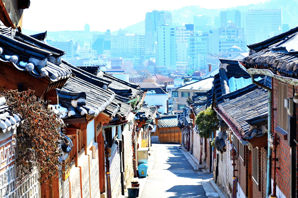 Tour hàn quốc mùa hoa anh đào
