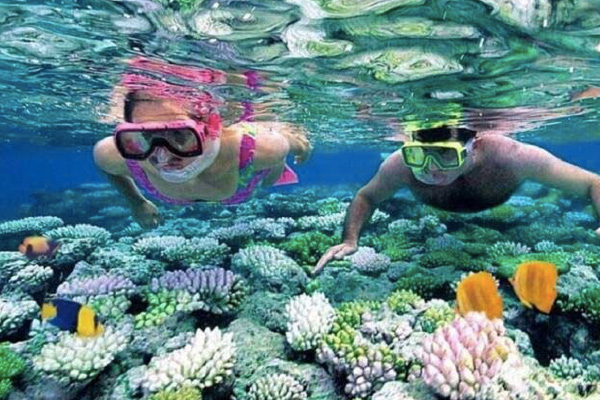 Tour du lịch Quy Nhơn - Phú Yên