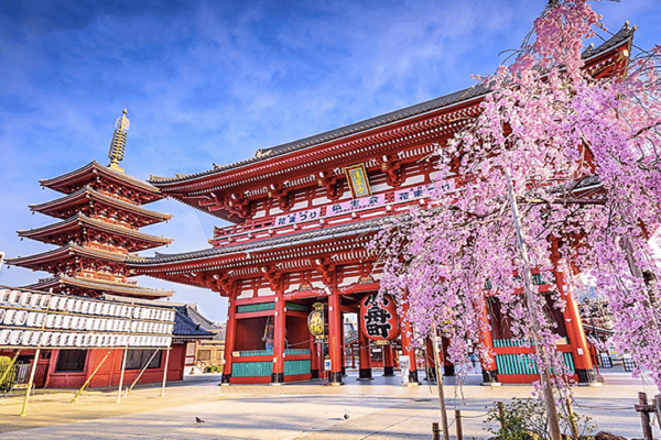 Tour Nhật Bản Mùa Hoa Anh Đào 6N5Đ | Shirakawago – Fuji – Tokyo | Vietnam Airlines 2026