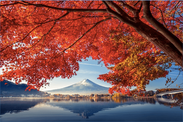 Tour Nhật Bản Mùa Thu Lá Đỏ 6N6Đ – Kobe, Osaka, Kyoto, Fuji, Tokyo